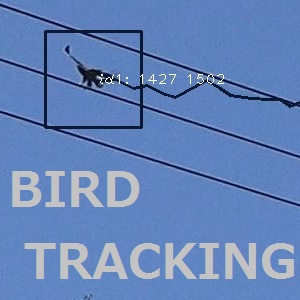 変形を考慮した野鳥の自動追跡