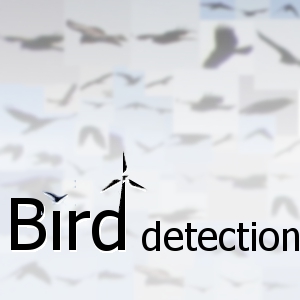 野鳥の監視・調査のための画像認識