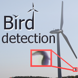 風力発電所でのタイムラプス撮影による鳥検出と鳥種分類